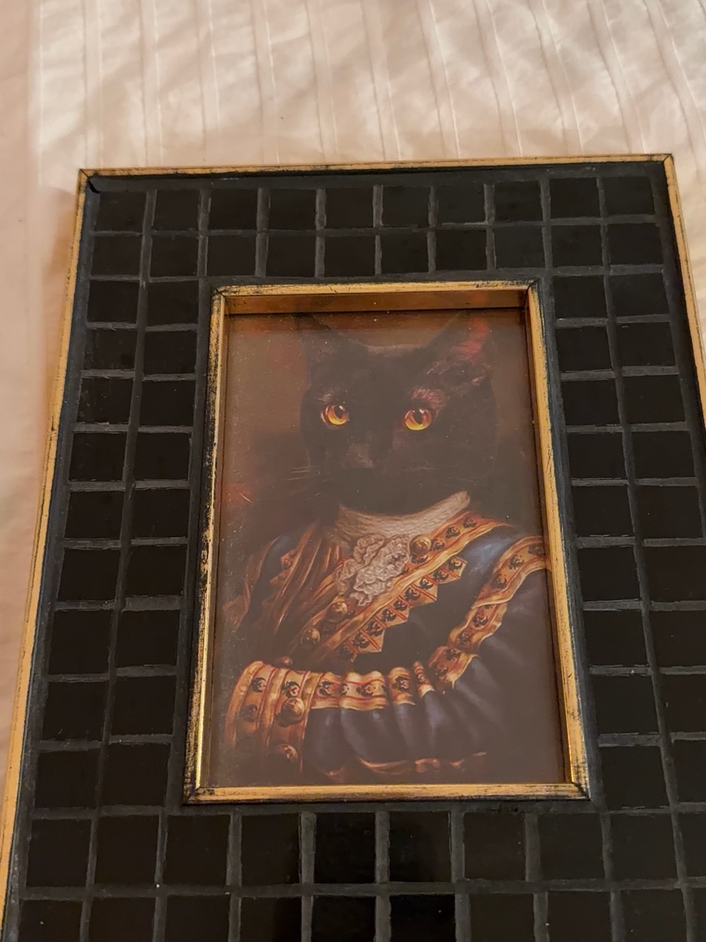 Cat Portrait - Picture 2 of 6
